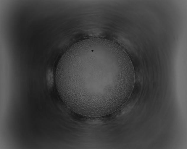 X0000100411106200806061335