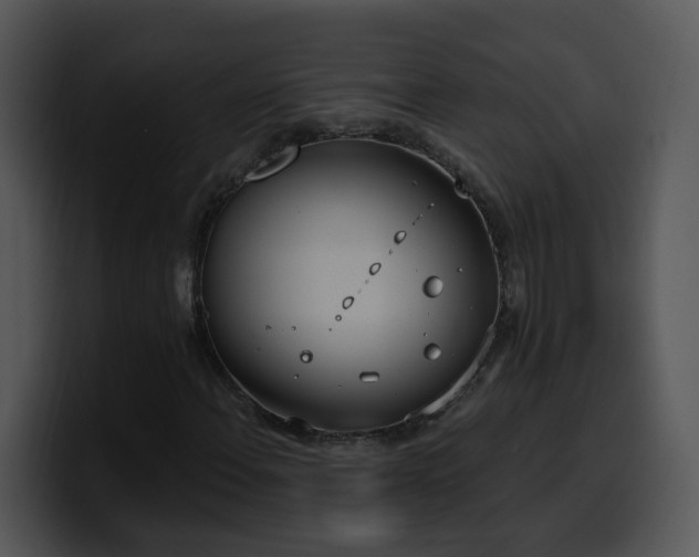 X0000100411108200806061335