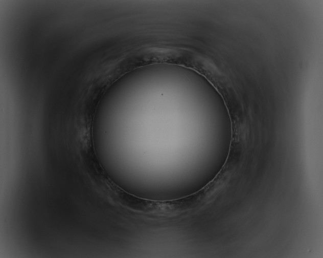 X0000100411109200806061335