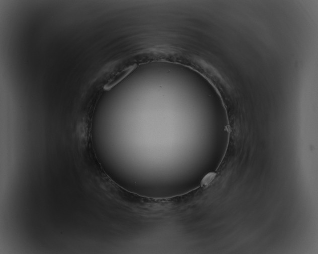 X0000100411110200806061335