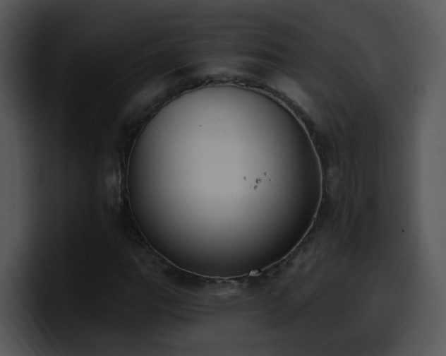 X0000100411111200806061335