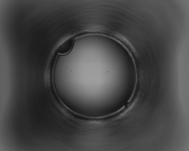 X0000100411114200806061335