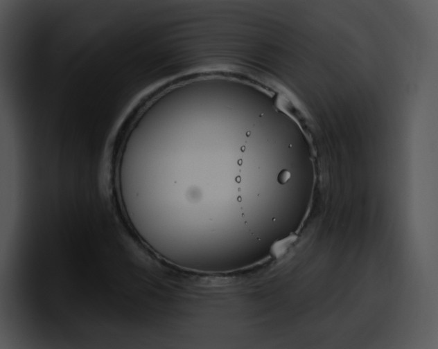 X0000100411116200806061335