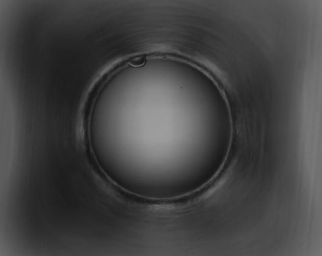 X0000100411118200806061335