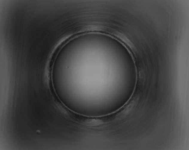 X0000100411119200806061335