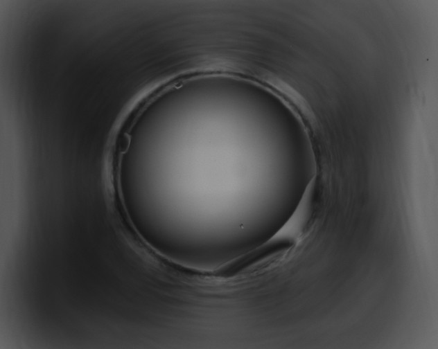 X0000100411120200806061335