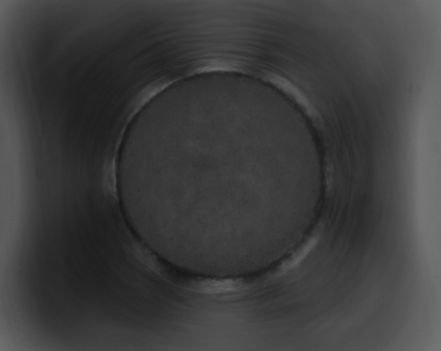 X0000100411121200806061335