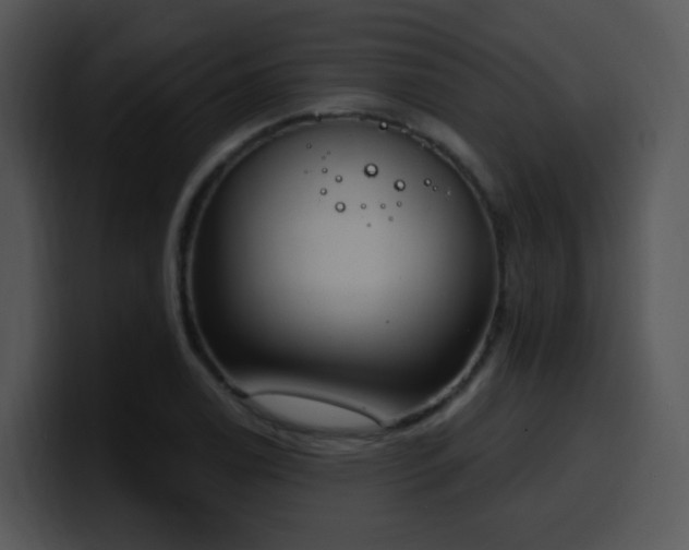 X0000100411122200806061335