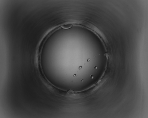 X0000100411124200806061335