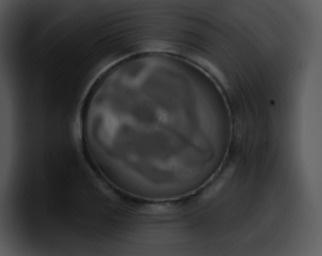 X0000100411125200806061335