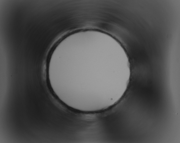 X0000100411126200806061335