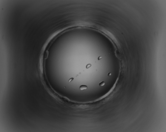 X0000100411128200806061336