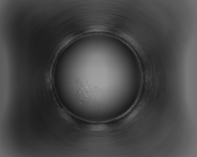 X0000100411129200806061336