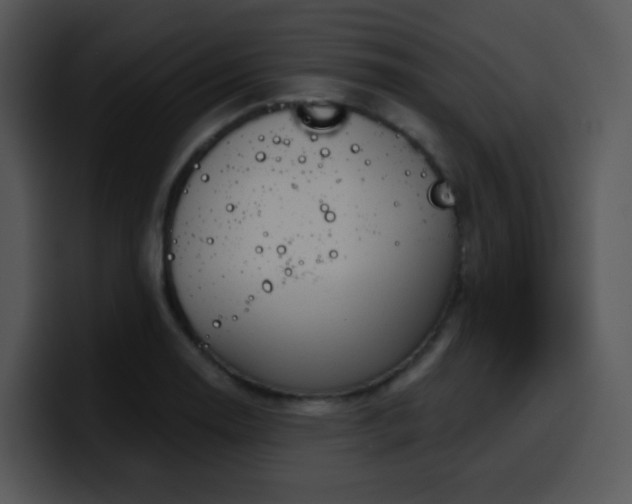 X0000100411130200806061336