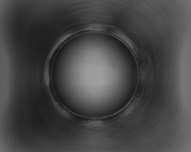 X0000100411131200806061336