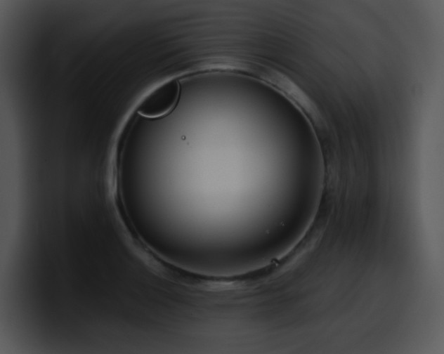 X0000100411132200806061336