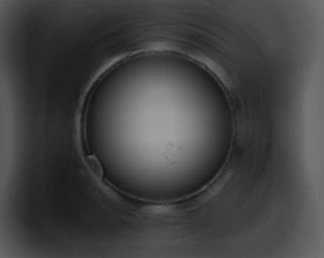 X0000100411134200806061336