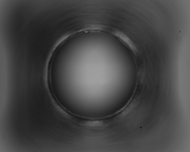 X0000100411135200806061336