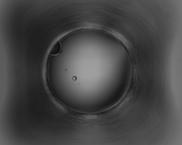 X0000100411136200806061336