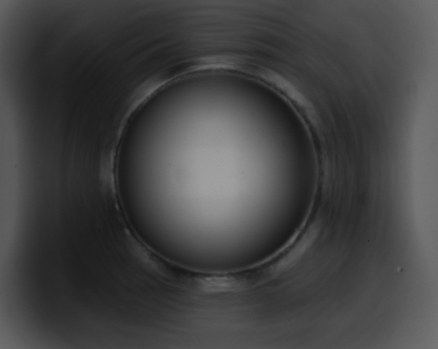 X0000100411137200806061336