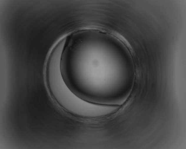 X0000100411138200806061336