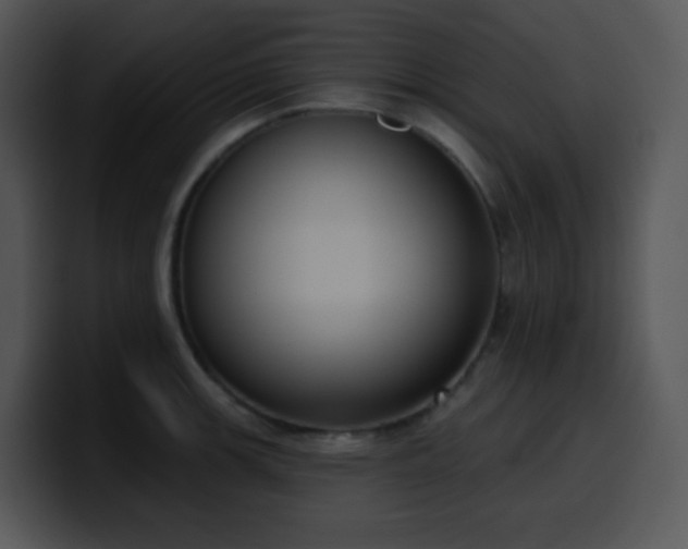 X0000100411139200806061336