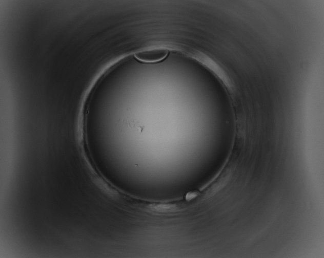 X0000100411140200806061336