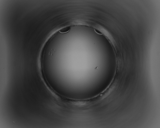 X0000100411141200806061336