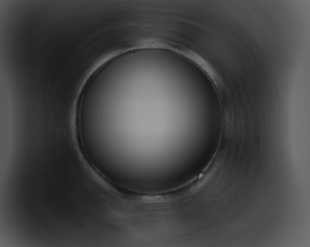 X0000100411142200806061336