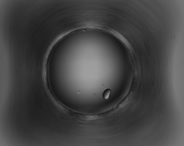 X0000100411144200806061336