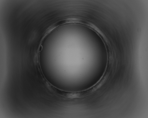 X0000100411145200806061336