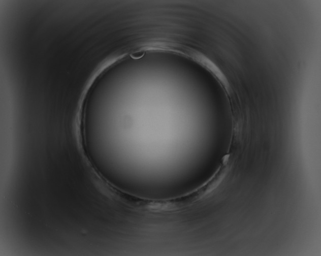 X0000100411146200806061336