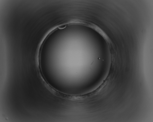 X0000100411148200806061336