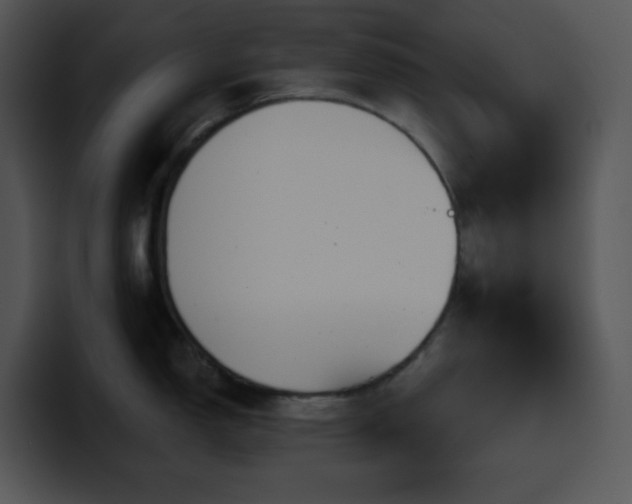 X0000100411150200806061336