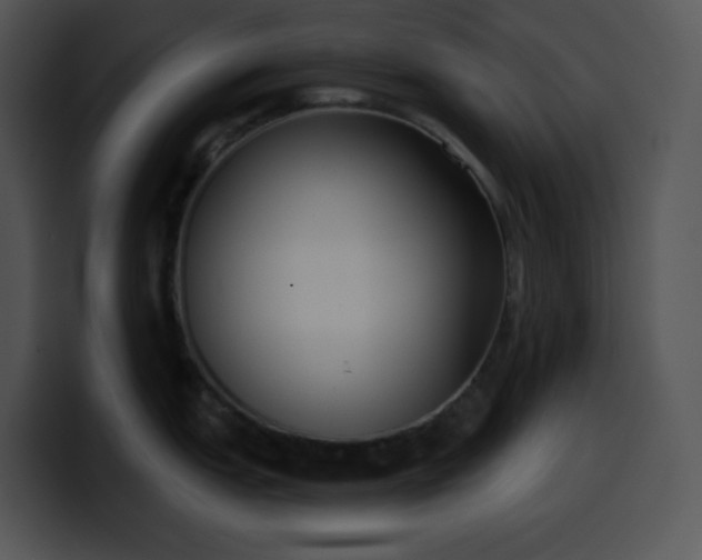 X0000100411151200806061336