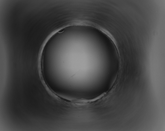 X0000100411152200806061336