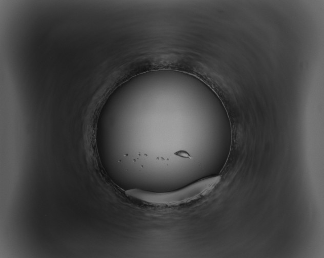 X0000100411153200806061335