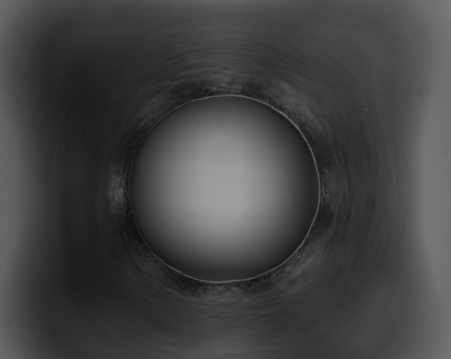 X0000100411154200806061335