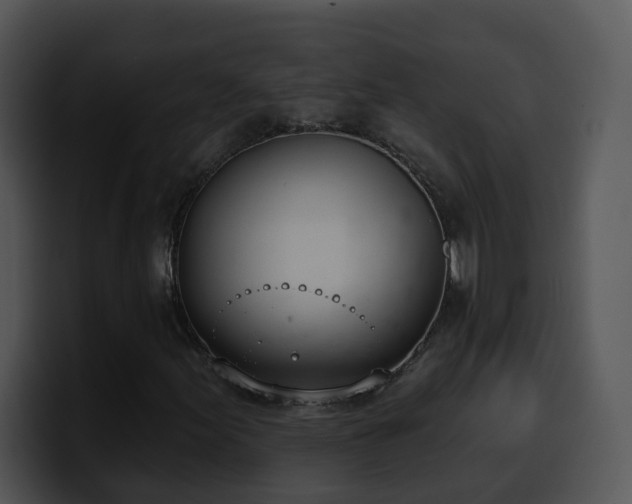 X0000100411155200806061335