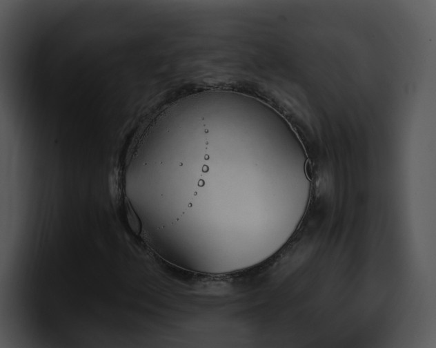 X0000100411156200806061335