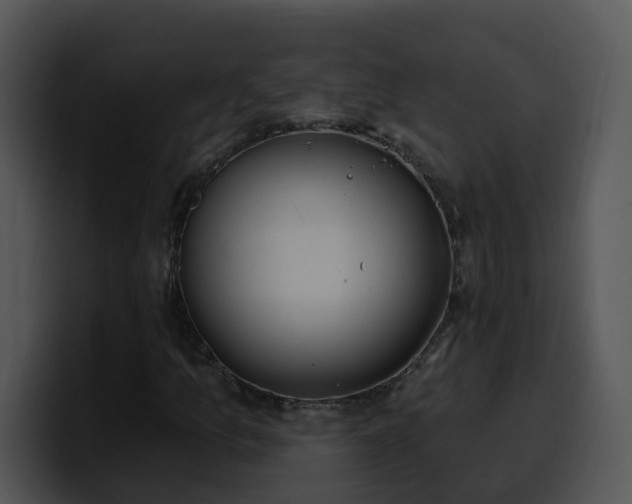 X0000100411157200806061335