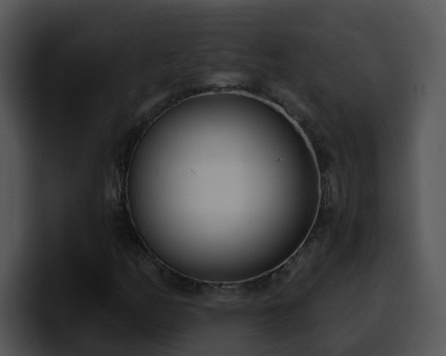 X0000100411158200806061335