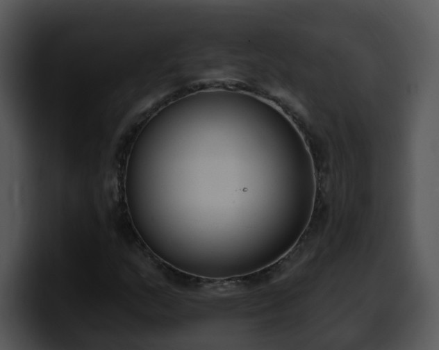 X0000100411159200806061335