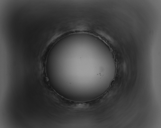 X0000100411160200806061335