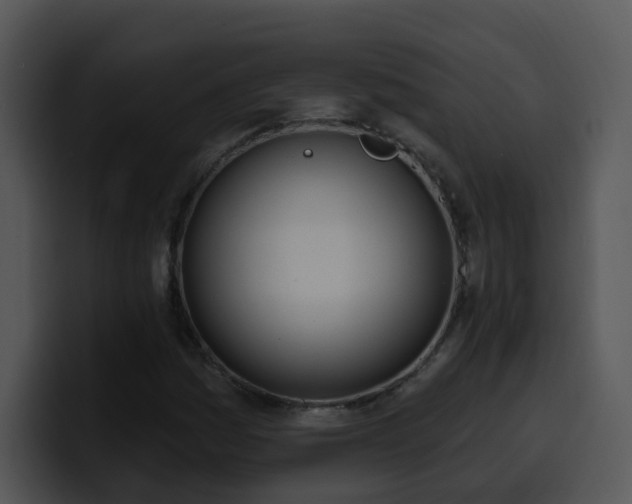 X0000100411161200806061335