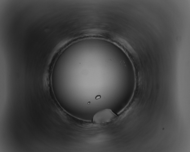 X0000100411164200806061335