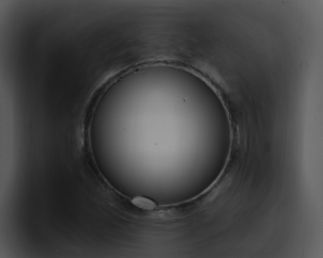 X0000100411165200806061335
