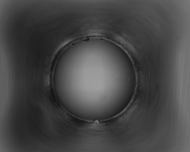 X0000100411166200806061335