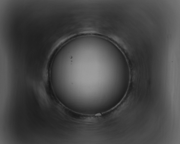 X0000100411167200806061335
