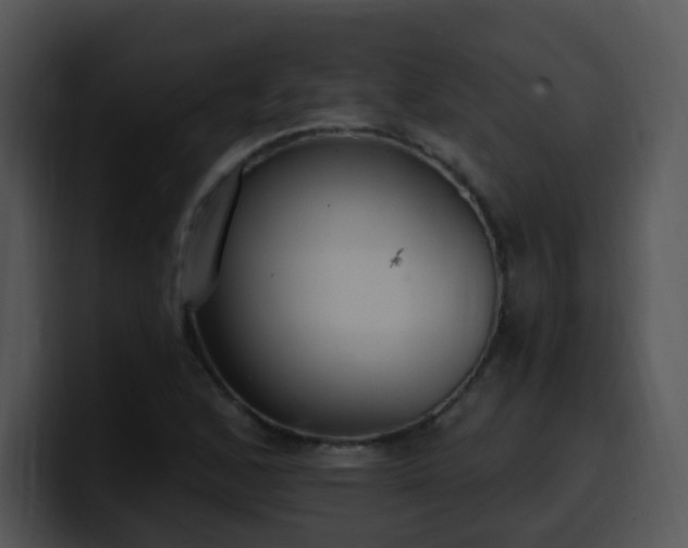 X0000100411168200806061335